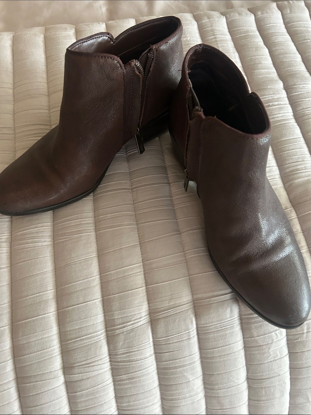 SAM. Women's Brown Leather Ankle Booties with Side Zip